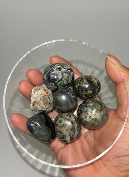 Kambaba Jasper Tumble(s)