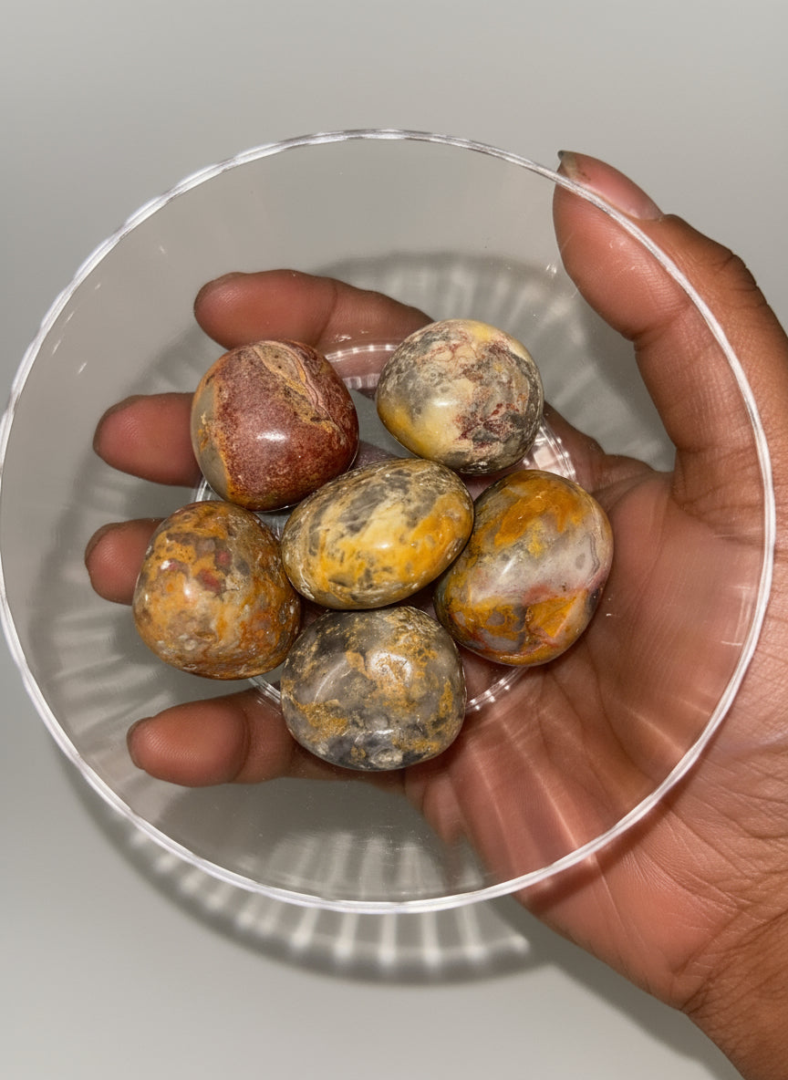 Crazy Lace Agate Tumble(s)